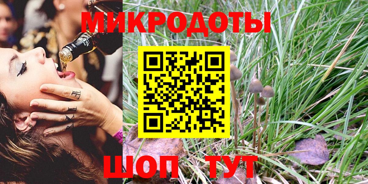 Псилоцибиновые грибы Psilocybine cubensis Архангельск