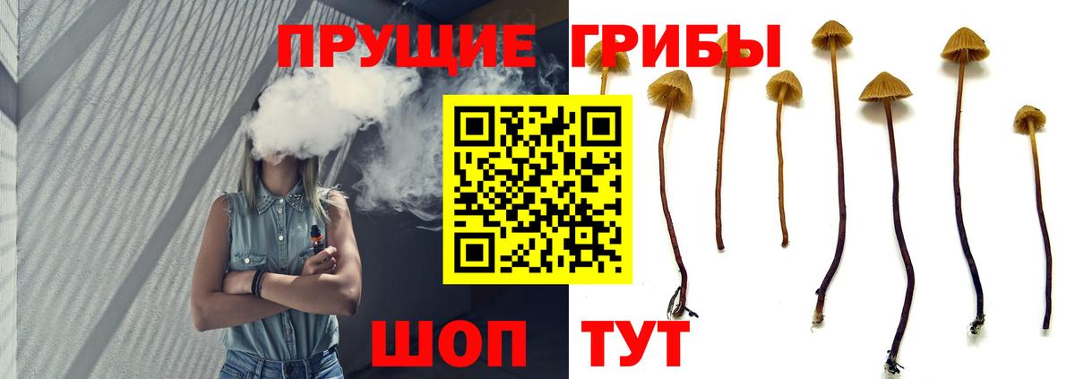 Архангельск  сколько стоит  Вход с VPN  Псилоцибиновые грибы Magic Shrooms 